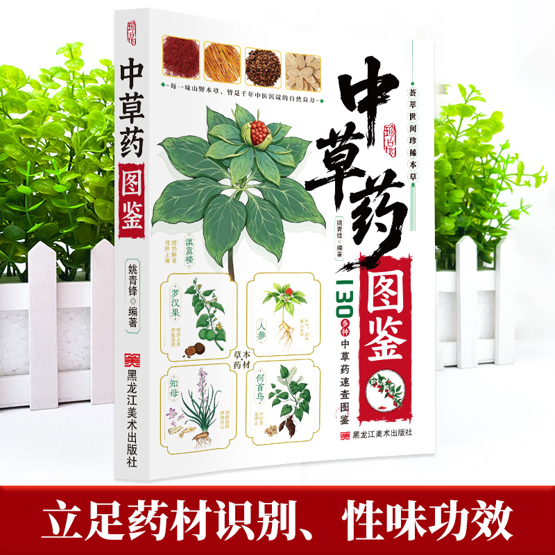 Guida Illustrata alla Medicina - Herbal Wellness Book recensione e prezzo