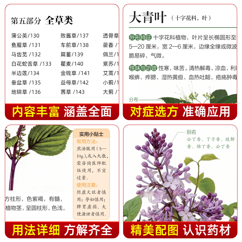 Guida Illustrata alla Medicina - Herbal Wellness Book recensione e prezzo